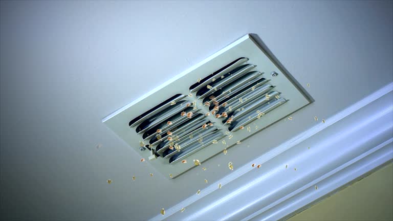 Best HVAC Maintenance and Cleaning  in Coats Bend, AL